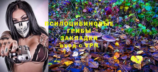 шишки Богданович